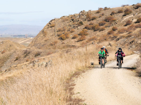 Luxury Trail Co. Central Otago Gold