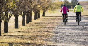 When Is The Best Time To Cycle The Otago Central Rail Trail?