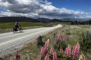 Alps to ocean trail biking in flowers